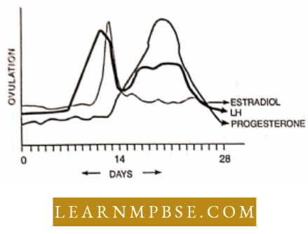 Animal Reproduction Graphical Representation