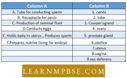Animal Reproduction Reproduction Cevirx