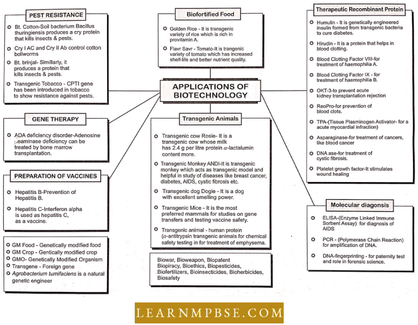 Biotechnology And Its Applications Applications Of Biotechnology Flowchart