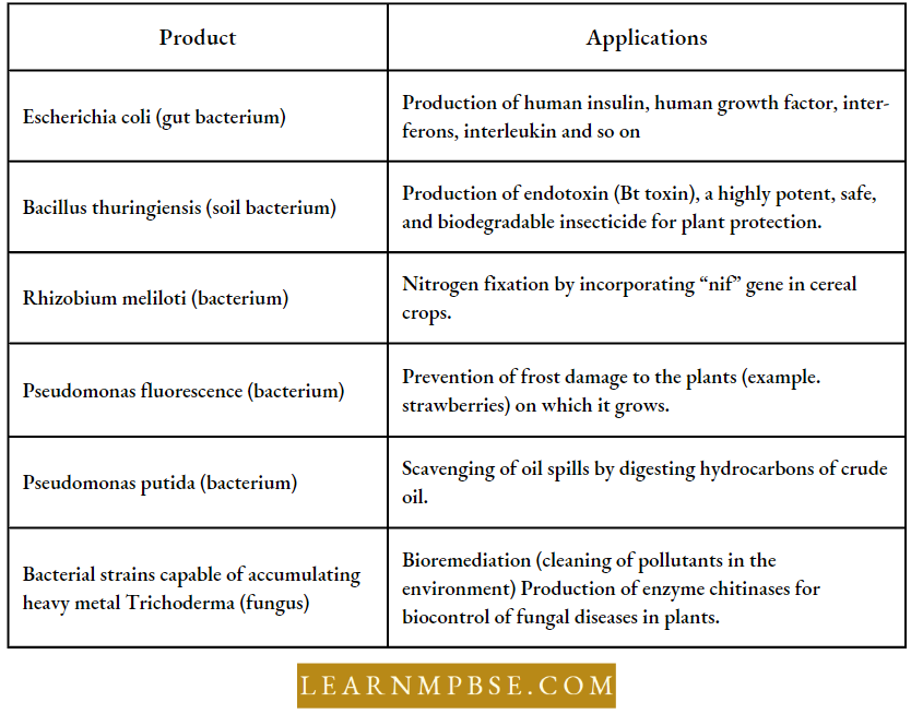 Biotechnology And Its Applications Applications Of Genetically Engineered Microbes
