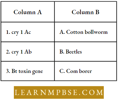 Biotechnology And Its Applications Match The Genes With Insect That Can Be Protected From With Their Coded Protein