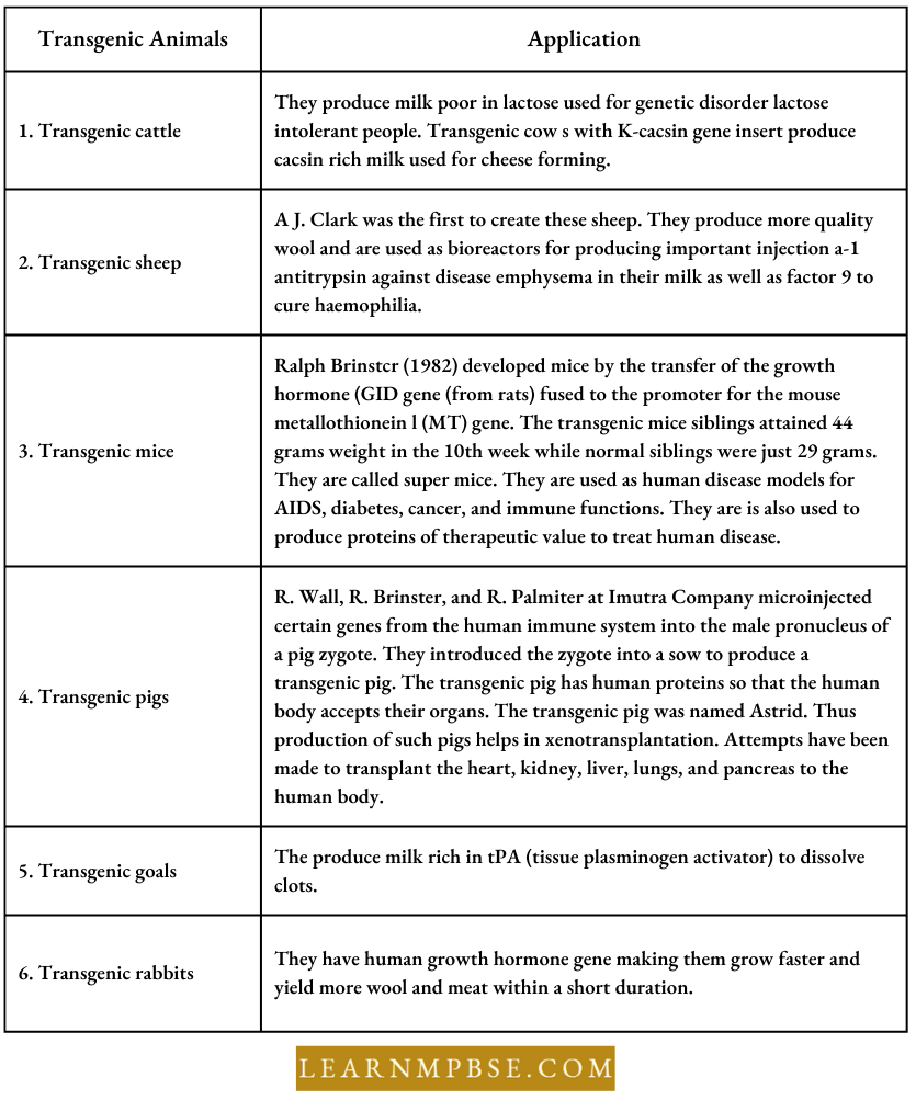 Biotechnology And Its Applications Transgenic Animlas And Applications