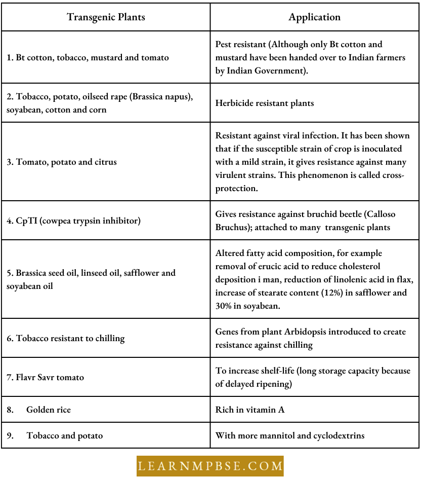 Biotechnology And Its Applications Transgenic Plants And Appications