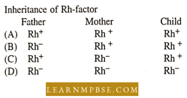 Circulation In Animals Blood Vascular System Inheritance Of Rh- Factor