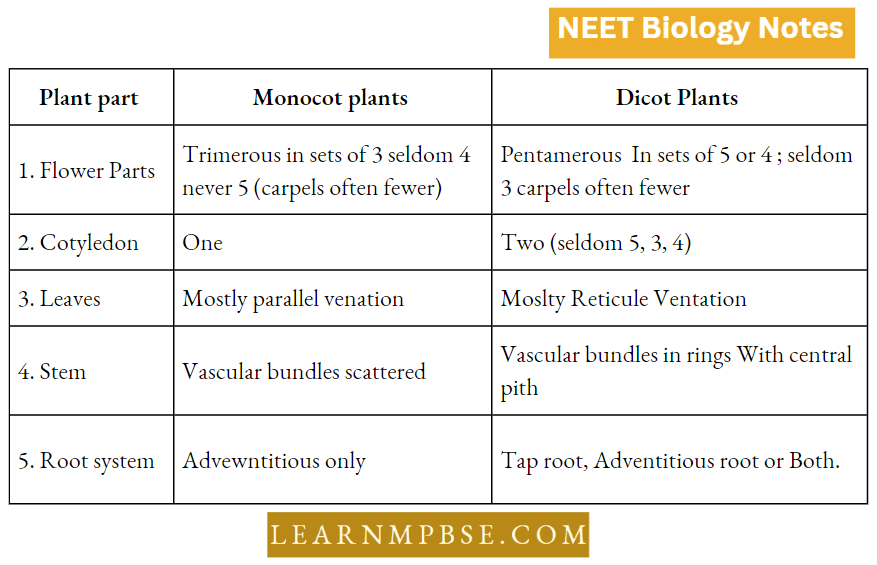 Classifcation Of Taxonomy Of Angispersm Difference Between Monocots And Dicots