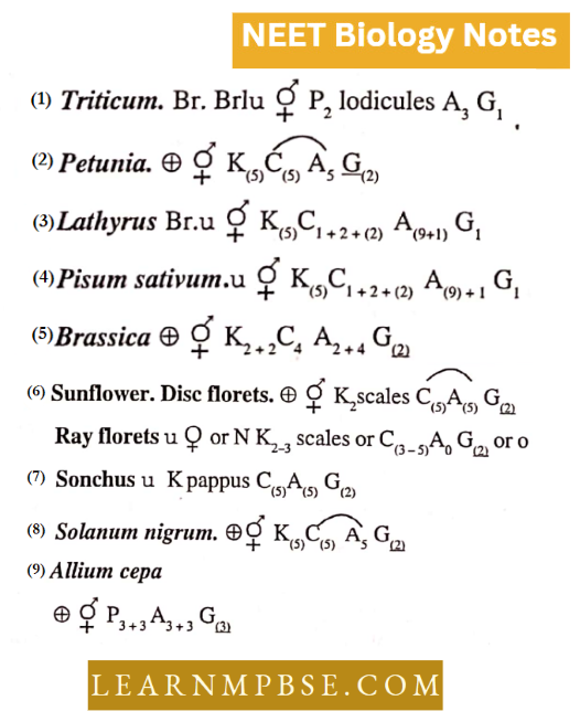 Classifcation Of Taxonomy Of Angispersm Floral Formulae