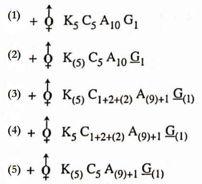 Classifcation Of Taxonomy Of Angispersm Question 13 Floral diagram.