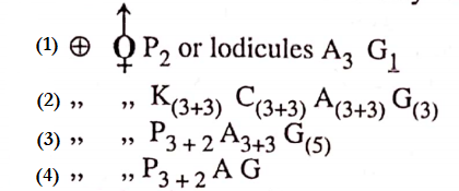 Classifcation Of Taxonomy Of Angispersm Question 17 Typical floral Formula Of Family Gramineae