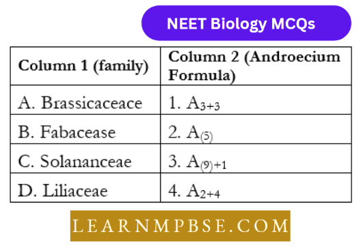 Classifcation Of Taxonomy Of Angispersm Question 24 Match The columns