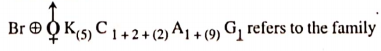 Classifcation Of Taxonomy Of Angispersm Question 68 The Floral formula