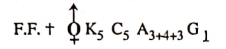Classifcation Of Taxonomy Of Angispersm Subfamily casalpinoideae.