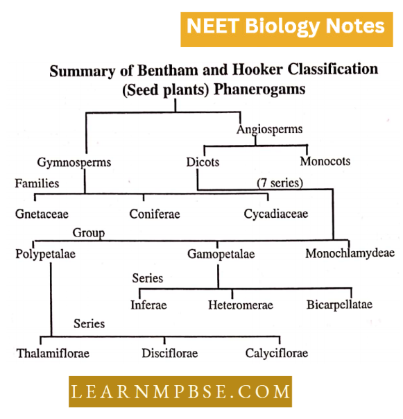 Classifcation Of Taxonomy Of Angispersm Summary Of Bentham And Hooker Classification Phanerogams