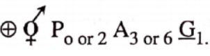 Classifcation Of Taxonomy Of Angispersm The Typical Formula For Gramineae.
