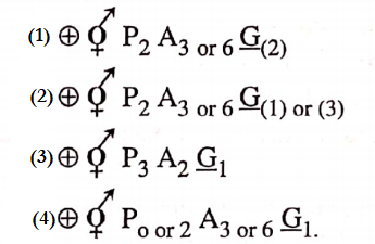 Classifcation Of Taxonomy Of Angispersm The Typical Formula For Gramineae