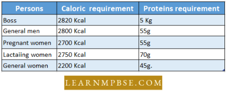Digestive System Energy For Persons