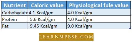 Digestive System Energy Requirement Of The Body
