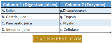 Digestive System Match The Degestive Juices Question 2