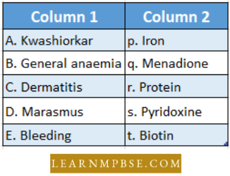 Digestive System Match The Following Question 51