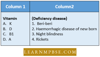 Digestive System Match The Items In Columns Question 148