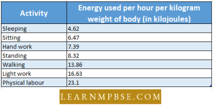 Digestive System Relationship Between Energy Required and The Activity