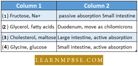 Digestive System Select The Correct Match Of Digested Products Question 69
