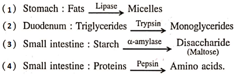 Digestive System Which Of the Following Is Correct Question 66