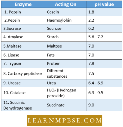 Digestive System pH Value Of Some Enzymes