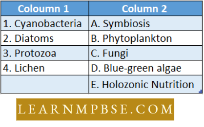 Diversity Of Life Five kingdoms Of Life And Biological Classification Question 78 Match The Coloumns