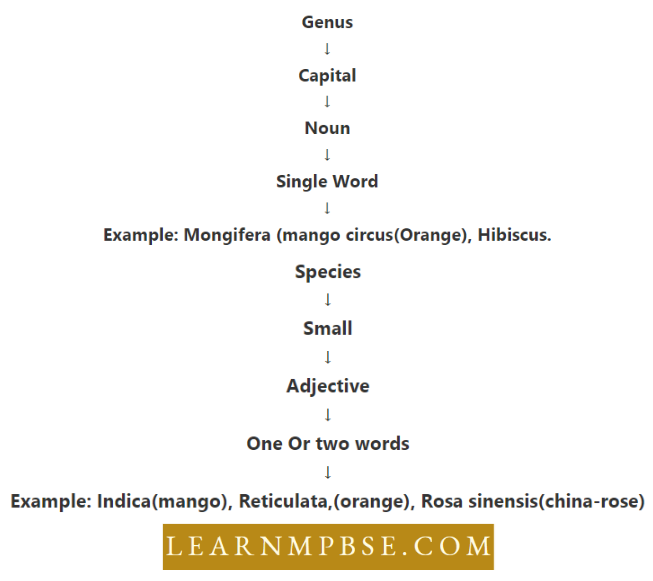 Diversity Of Life Five kingdoms Of Life And Biological The Name Will have two parts genus and species