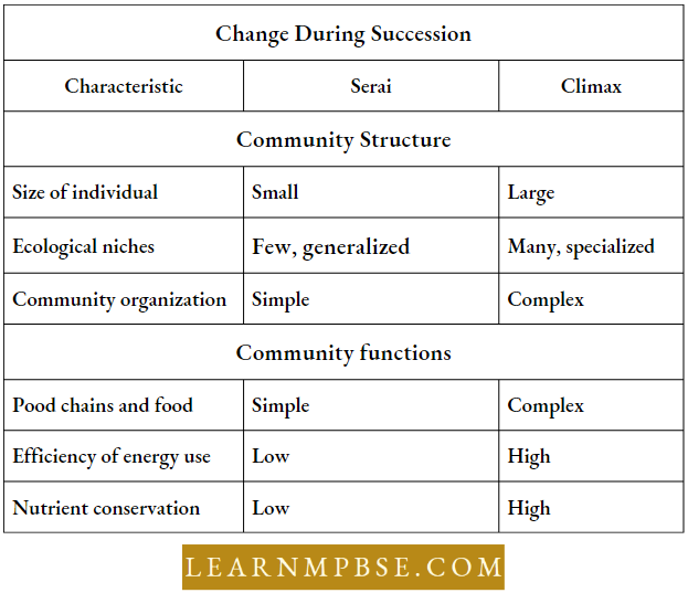 Ecosystem Difference Between The Serial Stage And Climax Community Being Succession