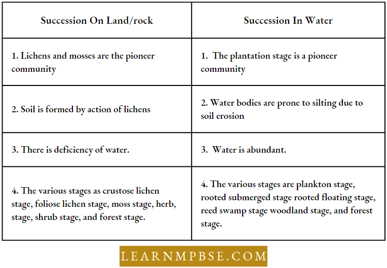 Ecosystem Differences Between Terrestrial And Aquatic Succession