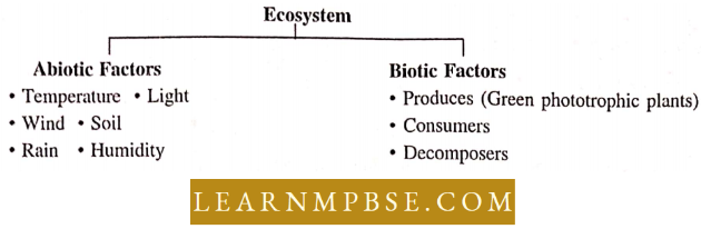 Ecosystem Ecosystem Flowchart