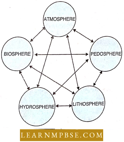 Ecosystem Fundamental regions Of The Environment