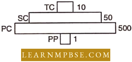 Ecosystem Imaginary Phyramid Of Numbers