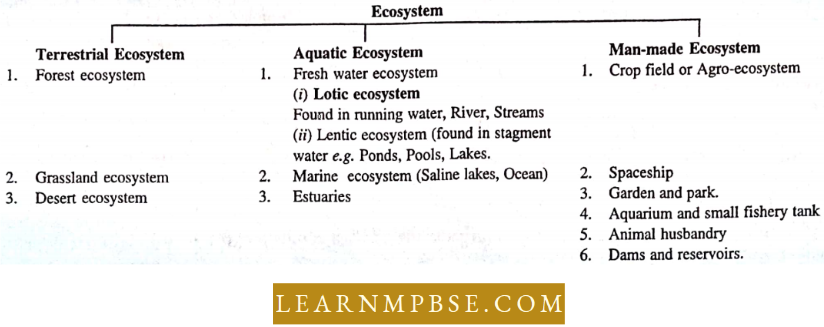 Ecosystem Kinds Of Ecosystem