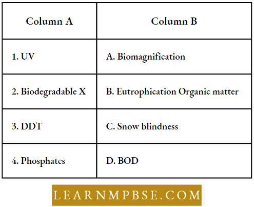 Environmental Pollution And Global Environmental Issues Match The Column Question 111
