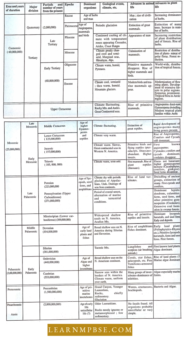 Geological Time Scale