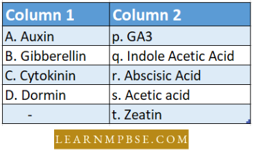 Growth And Development Match The Items Question 56