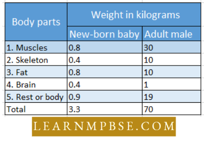 Growth, Repair Regeneration Ageing And Death Human Body