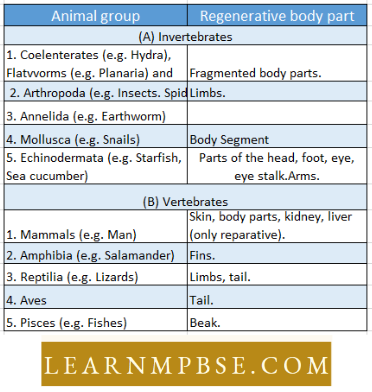 Growth, Repair Regeneration Ageing And Death Regenerative Body Parts