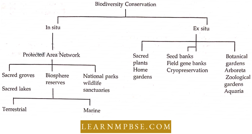 In Situ And Ex Situ Approches Of Conserving Biodiversity In India