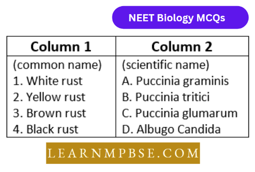 Kingdom Fungi Question 141 Match The coloumns