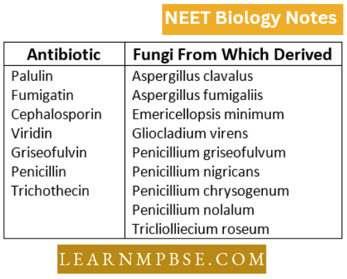 Kingdom Fungi Some Antibiotics Dervied From Fungi