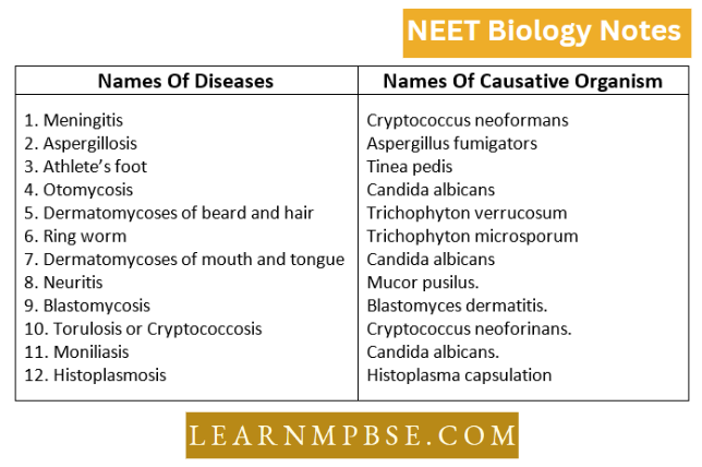 Kingdom Fungi Some Diseases Caused By Fungi In Man And Animals