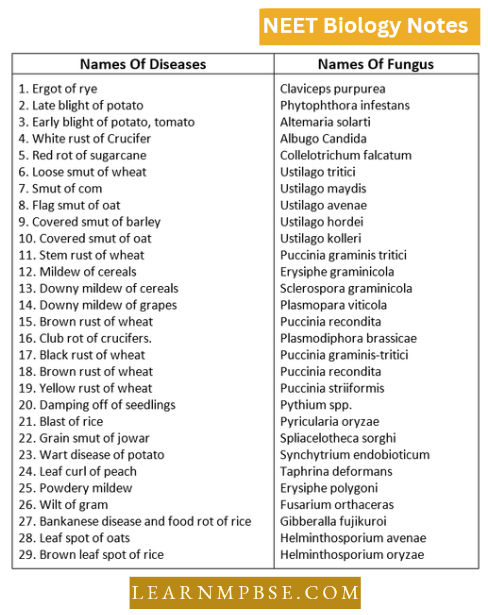 Kingdom Fungi Some Disesases Caused By Fungi In Plants