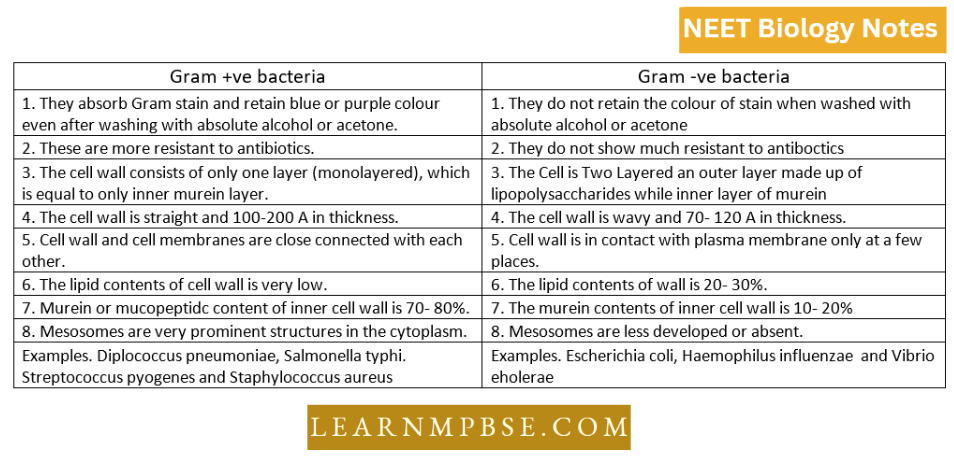 Kingdom Monera Difference Between Gran+ve and Gram-ve Bacteria