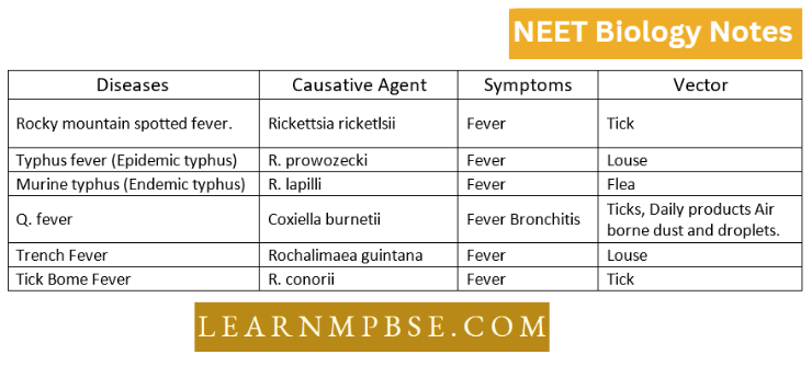 Kingdom Monera Diseases Caused By Rickettsiae