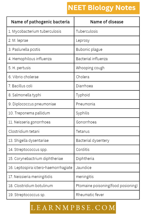 Kingdom Monera Pathogenic Bacteria Causing Human Diseases