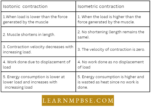 Muscular system Difference Between Isotonic Contraction And Isometric Contraction