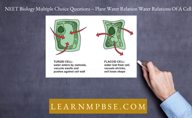 NEET Biology Multiple Choice Questions - Plant Water Relation Water Relations Of A Cell